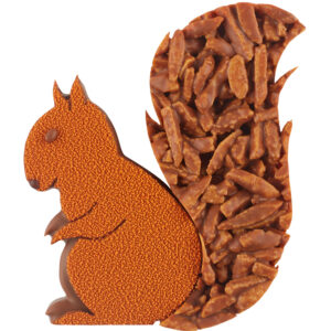 bouchée-chocolat-écureuil-bellanger